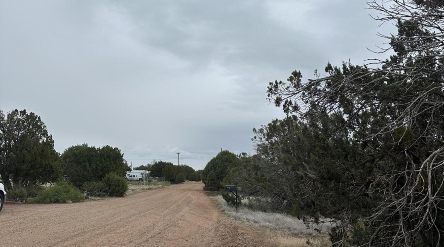 Road to property