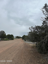 8427 Cochise Circle, Show Low, Arizona 85901, ,Land,For Sale,Cochise,260473