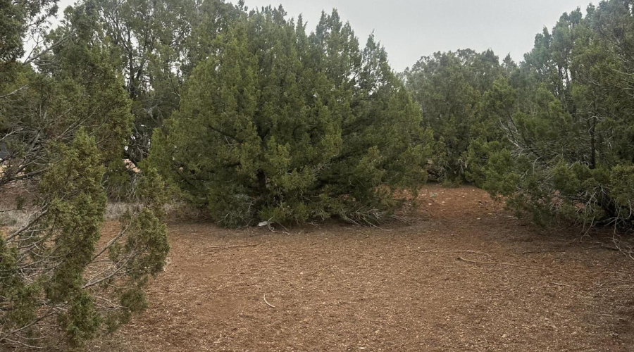 Level Land