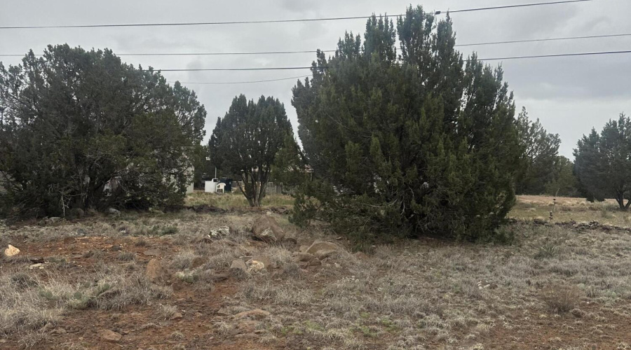 Land In White Mountain Lakes!