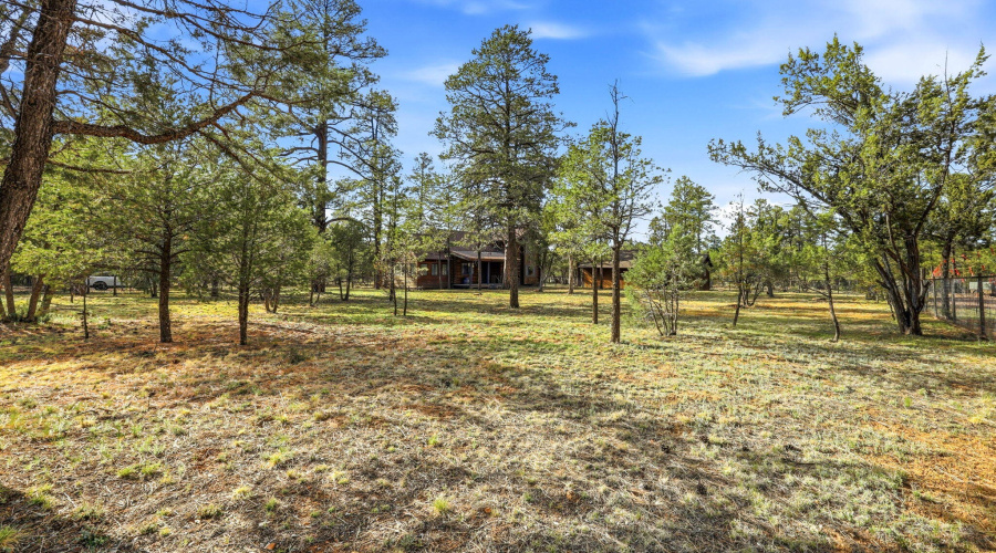 3022ChevelonRd-HeberOvergaard-AZ-26