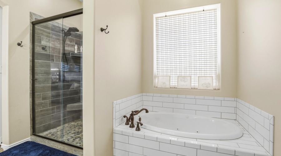 Master Bathroom (2)