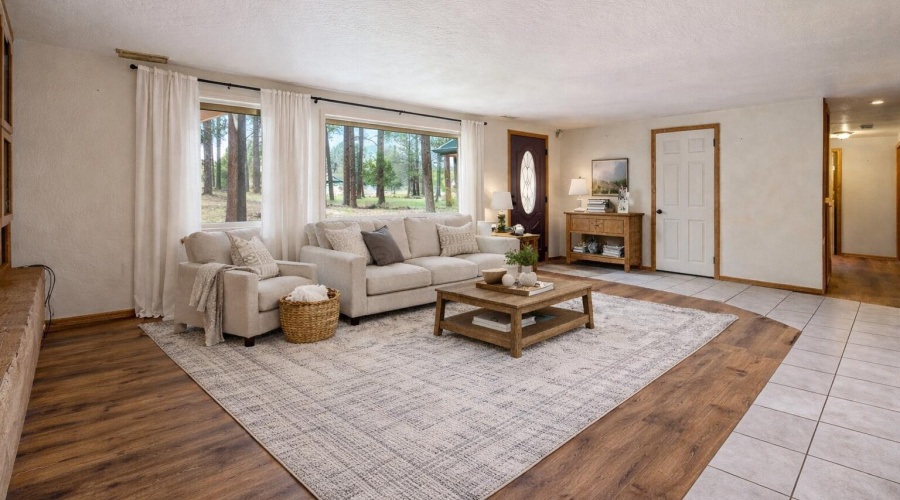 VIRTUAL LIVING 2