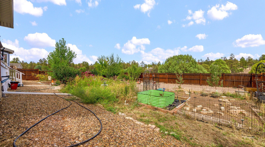 Backyard Main