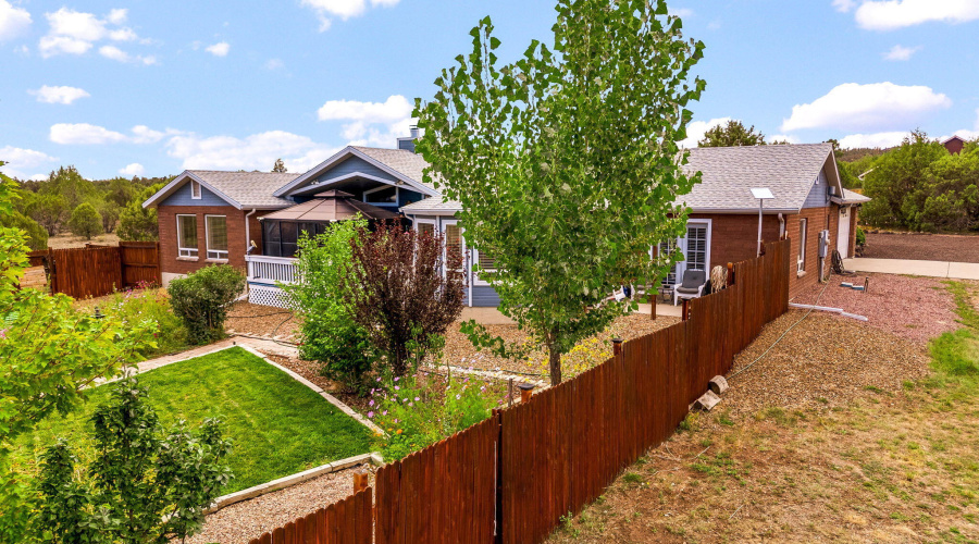 Backyard Main