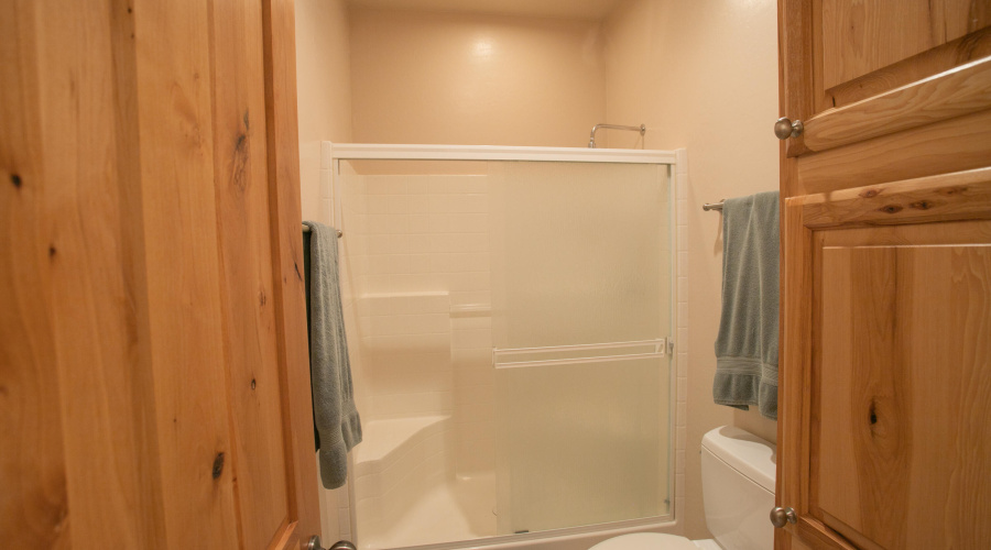 Primary Shower
