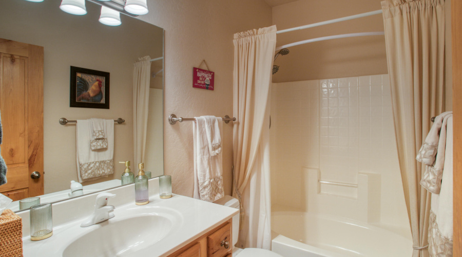 Guest Bath