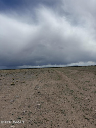 TBD N6465, St. Johns, Arizona 85936, ,Land,For Sale,N6465,260547