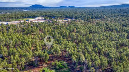 TBD 212-56-060D, Lakeside, Arizona 85929, ,Land,For Sale,212-56-060D,260562