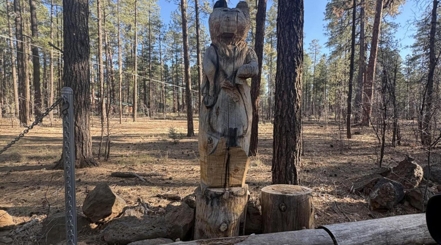 The Bear means your there!