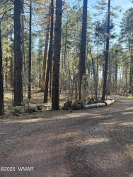 TBD 212-56-060F, Lakeside, Arizona 85929, ,Land,For Sale,212-56-060F,260563