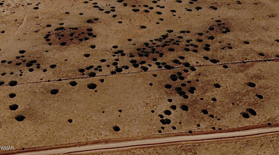 Google Earth 3