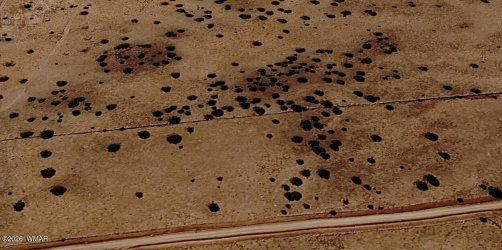 TBD 201-37-210, Concho, Arizona 85924, ,Land,For Sale,201-37-210,260565