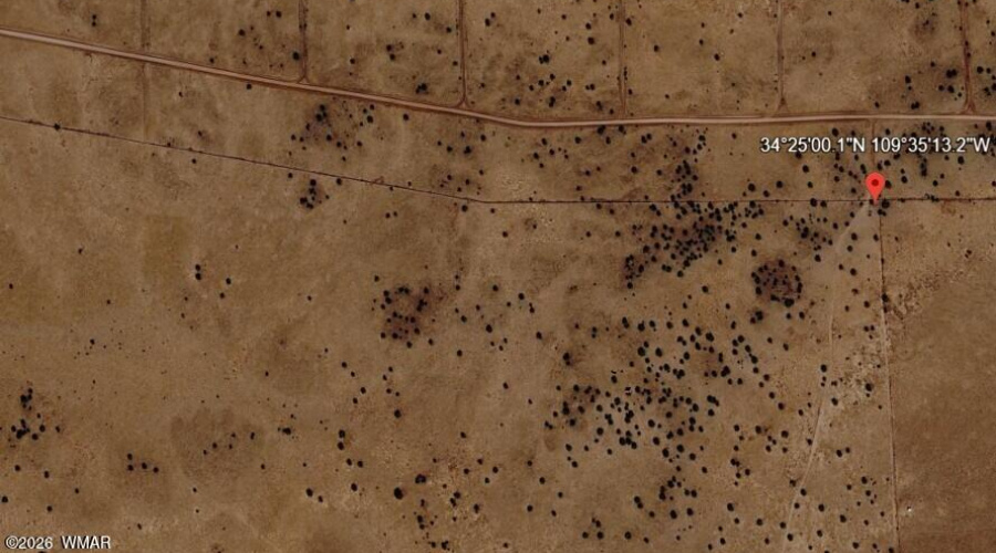 Google Earth