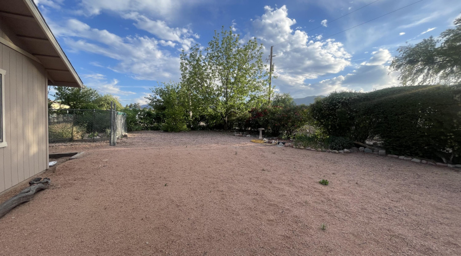 back yard