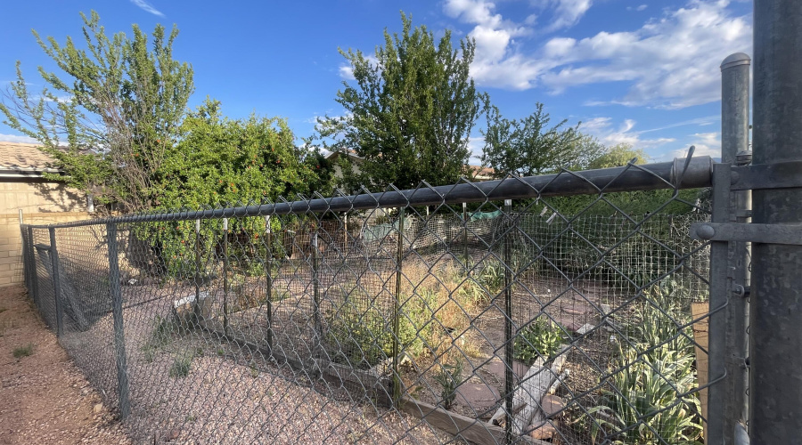 fenced garden