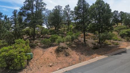 1911 Starlight Pass, Payson, Arizona 85541, ,Land,For Sale,Starlight Pass,93818