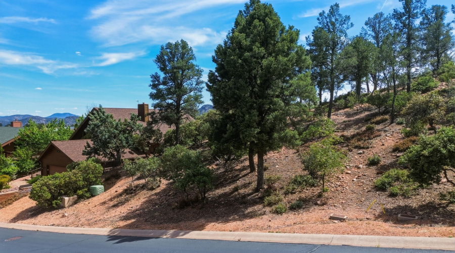 Starlight Pass Vacant Lot