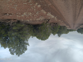 TBD 2 N8412, Concho, Arizona 85924, ,Land,For Sale,N8412,260571