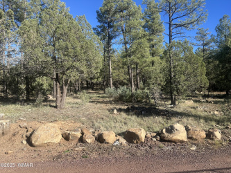 TBD Rodgers Road, Lakeside, Arizona 85929, ,Land,For Sale,Rodgers,258904