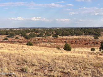 N9237 Miller Lane, Concho, Arizona 85924, ,Land,For Sale,Miller,260570