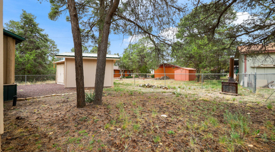 3566BlackBearRun-HeberOvergaard-AZ-20