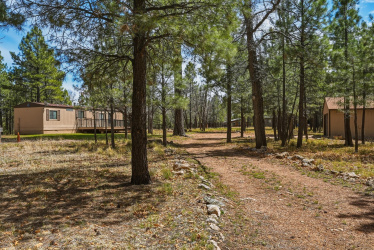 826 Jacks Canyon Drive, Happy Jack, Arizona 86024, Bedrooms, ,Bathrooms,Residential,For Sale,Jacks Canyon,93367