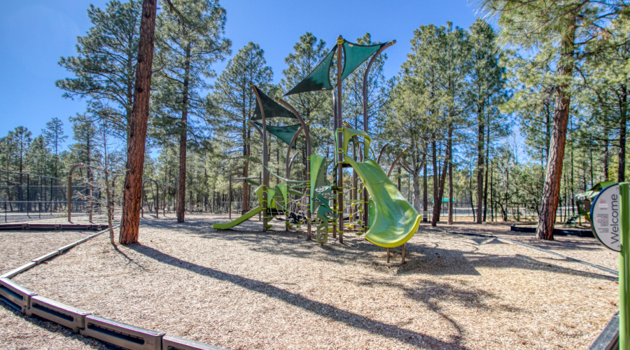 Community Playground
