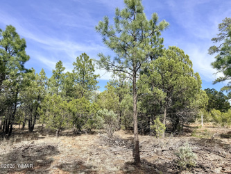 2588 Spoonbill Drive, Happy Jack, Arizona 86024, ,Land,For Sale,Spoonbill,260577