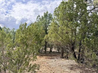 2588 Spoonbill Drive, Happy Jack, Arizona 86024, ,Land,For Sale,Spoonbill,93821