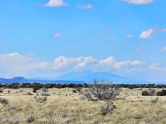 TBD Chev Canyon Ranch #3 Lot 461, Heber, Arizona 85928, ,Land,For Sale,Chev Canyon Ranch #3 Lot 461,260583
