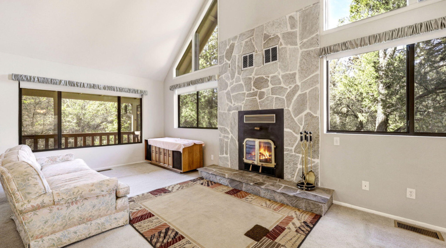 Fireplc in Great Rm