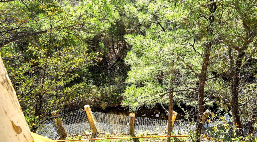 Haigler Creek fr Balcony