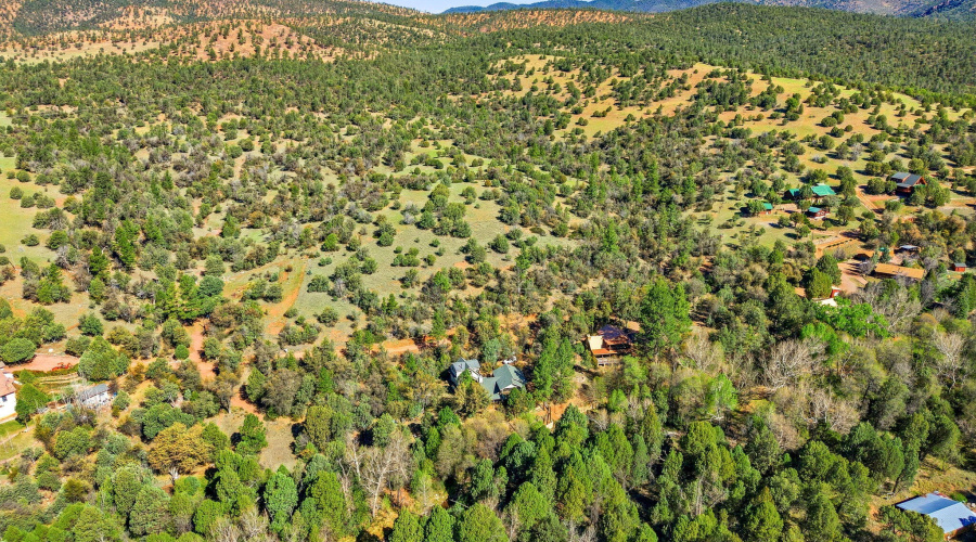 Dr Neighbors & Forest to the West
