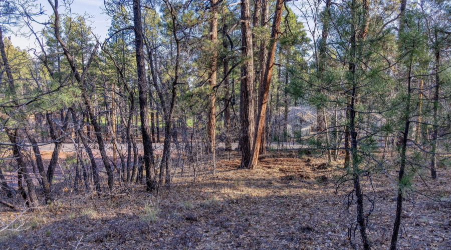 014_photo14_3795_land_mogollon_vista_dr_