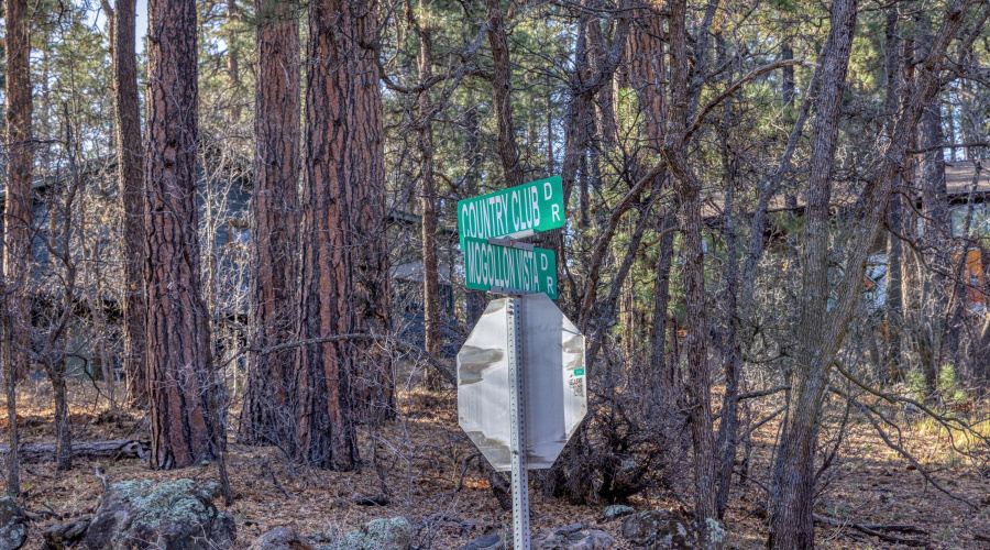 016_photo16_3795_land_mogollon_vista_dr_