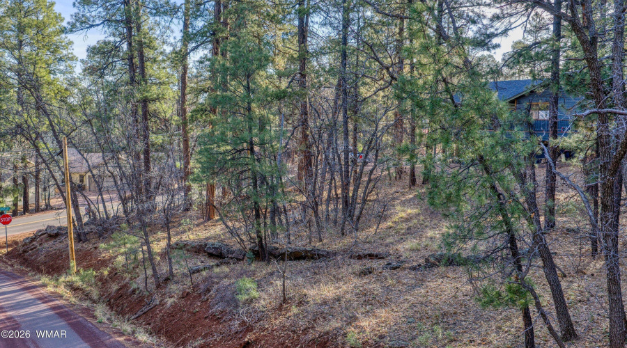 010_photo10_3795_land_mogollon_vista_dr_