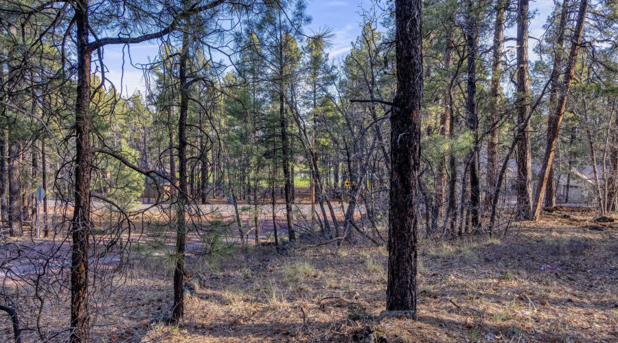 012_photo12_3795_land_mogollon_vista_dr_