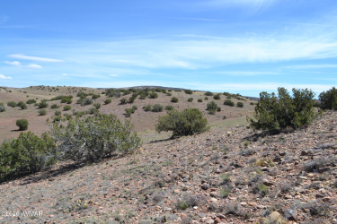 Lot 863 ACR N8497, Concho, Arizona 85924, ,Land,For Sale,ACR N8497,260596