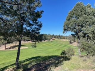 210 Rim Club Drive, Payson, Arizona 85541, ,Land,For Sale,Rim Club,93831