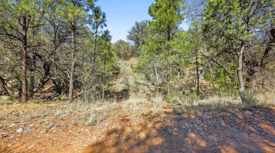 0.93 Acre from Easement Rd