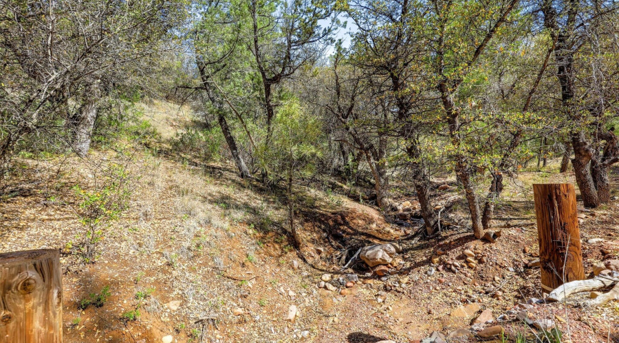 Wash Adj to Easement