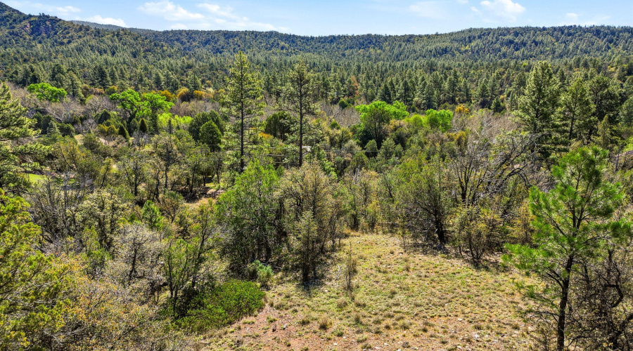 Level Bldg Site