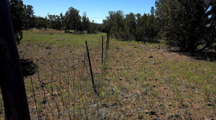 Partially Fenced