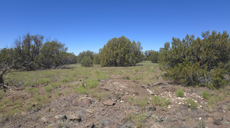 Private and Open Spaces