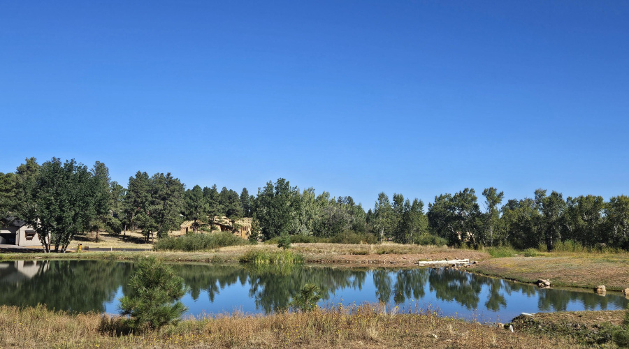 Torreon Lakes
