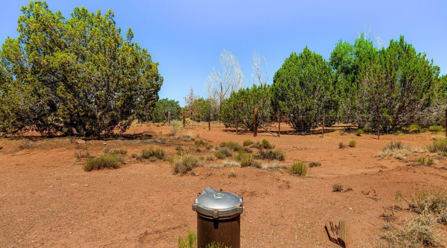 4N5501-Concho-AZ-24