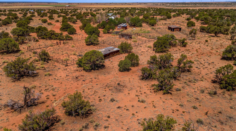 4N5501-Concho-AZ-30