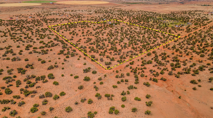 4N5501-Concho-AZ-31
