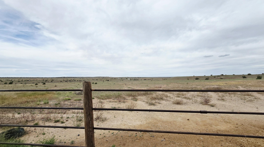 View from stable